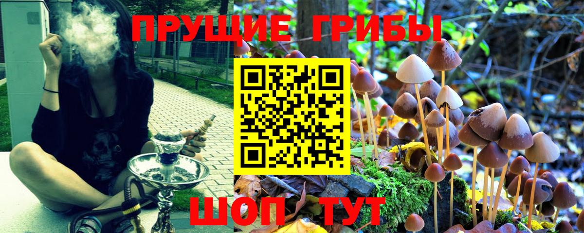 Галлюциногенные грибы GOLDEN TEACHER Тулун