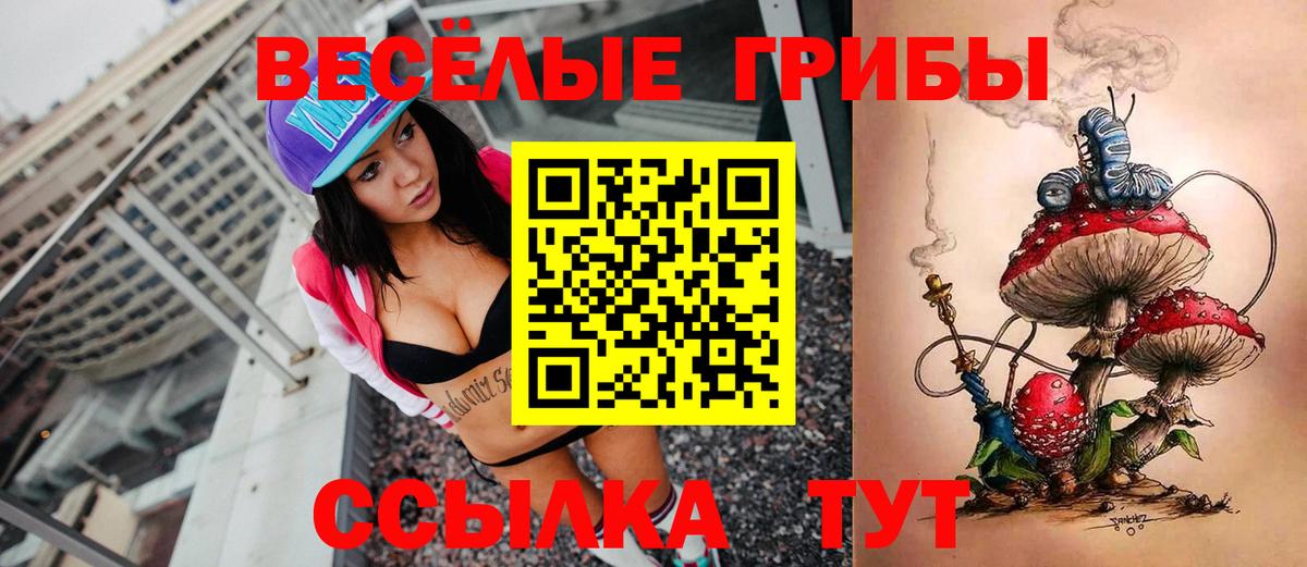 Тулун  Галлюциногенные грибы MAGIC MUSHROOMS  Вход с VPN 